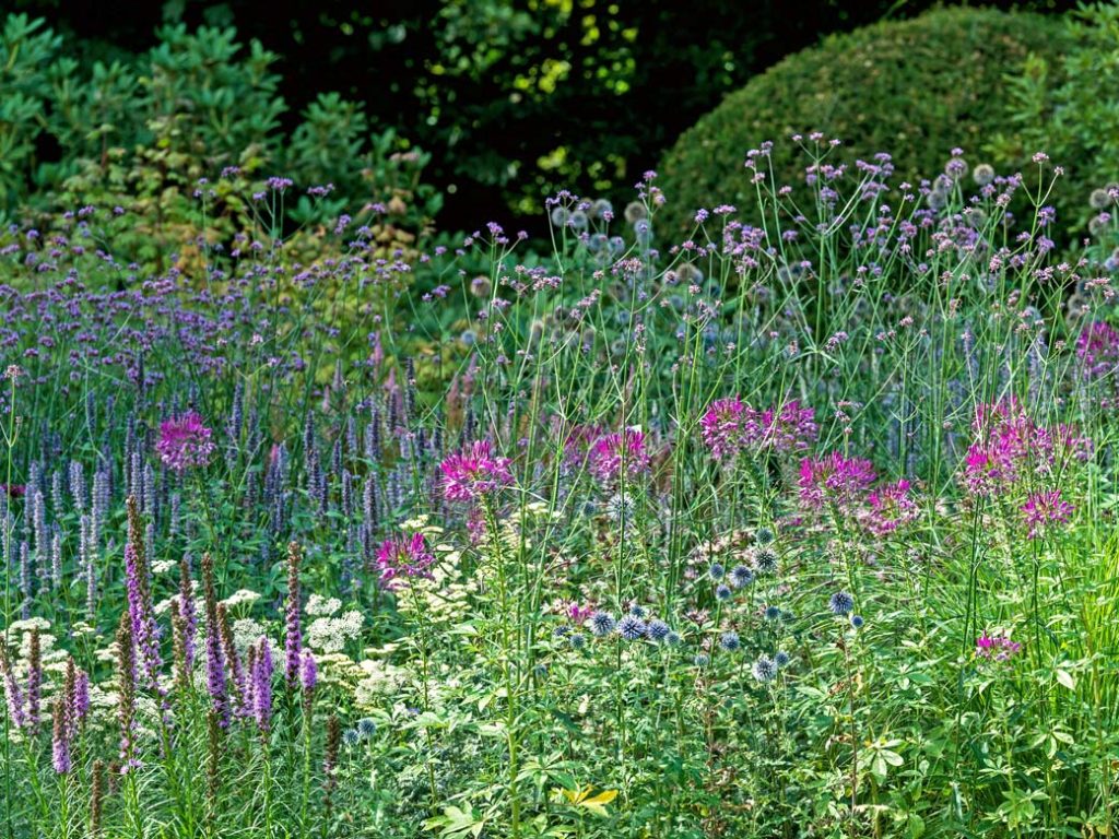 Am Blauen See im Sommer mit einem Kräutergarten